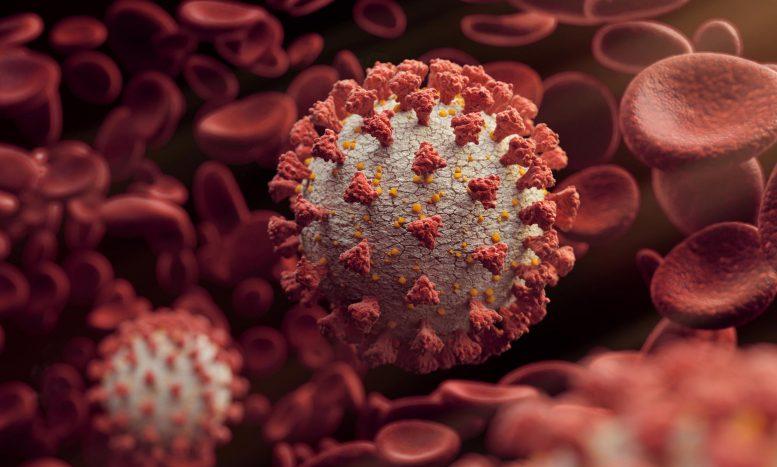 മലപ്പുറത്ത് 131 പേര്ക്ക് കൂടി കോവിഡ്; 118 പേര് രോഗികളായത് സമ്പര്ക്കത്തിലൂടെ മലപ്പുറത്ത് 131 പേര്ക്ക് കൂടി കോവിഡ്; 118 പേര് രോഗികളായത് സമ്പര്ക്കത്തിലൂടെ