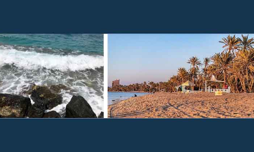 സമ്മർ സീസണിൽ കുളിരു പകർന്ന് ഉംലജിലെ കടലോര ഉദ്യാനങ്ങൾ