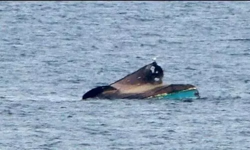 വള്ളം മറിഞ്ഞ് മൂന്ന് മത്സ്യത്തൊഴിലാളികളെ കാണാതായി