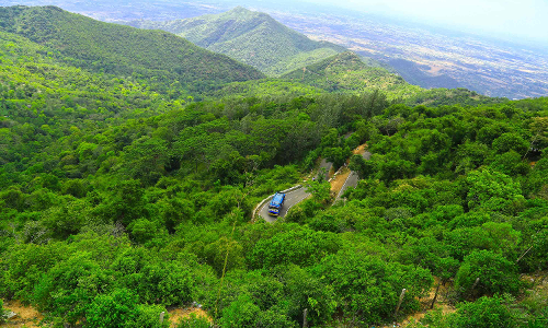 സിരുമലൈ റോഡിലെ വാ​ച്ച്​ ട​വ​റിൽനിന്നുള്ള കാഴ്​ച