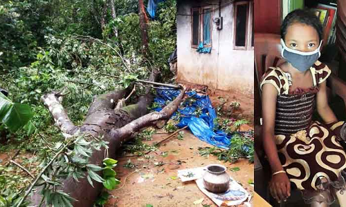 അച്​ഛന്‍റെ തോളിൽ നിന്ന്​ ആറു വയസുകാരിയെ തട്ടിപ്പറിച്ച്​ മരണം