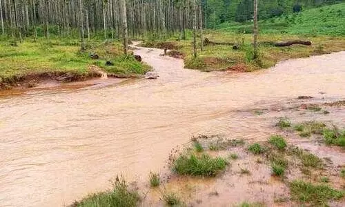 വെള്ളക്കെട്ടിലെ ഒഴുക്കില്‍പ്പെട്ട് അഞ്ച് വയസുകാരി മരിച്ചു