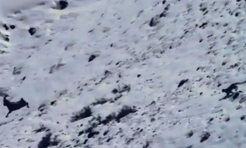 അവിടുന്നും തലേം കുത്തി തലേം കുത്തി-നിശ്​ചയദാർഢ്യത്തിൽ യവൻ പുലിയാണ്​ കേട്ടാ