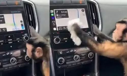 ഈ കാറിൻെറ മ്യൂസിക്​ സിസ്​റ്റം വൃത്തിയാക്കുന്നതാരാണെന്ന്​ നോക്കിക്കേ