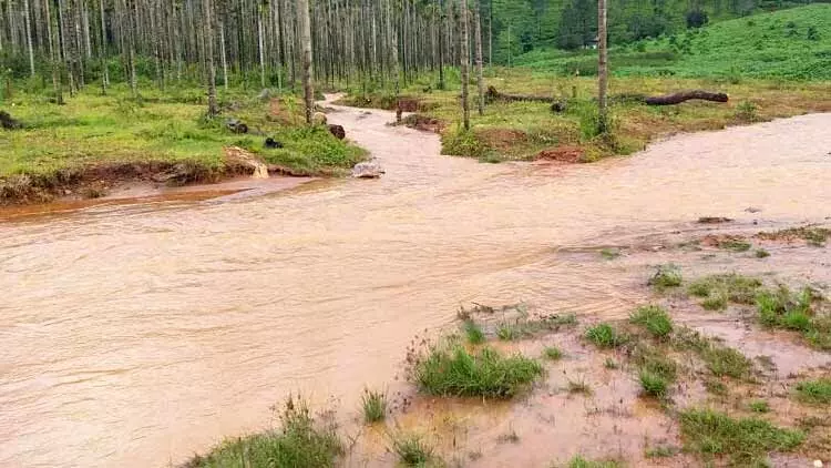 വെള്ളക്കെട്ടിലെ ഒഴുക്കില്പ്പെട്ട് അഞ്ച് വയസുകാരി മരിച്ചു വെള്ളക്കെട്ടിലെ ഒഴുക്കില്പ്പെട്ട് അഞ്ച് വയസുകാരി മരിച്ചു