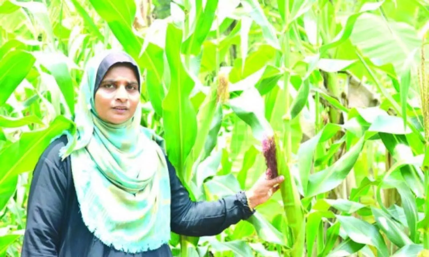 ഷജിലയിൽ നിന്ന് പഠിക്കാം; തീൻമേശ വിഷരഹിതമാക്കാം ഷജിലയിൽ നിന്ന് പഠിക്കാം; തീൻമേശ വിഷരഹിതമാക്കാം