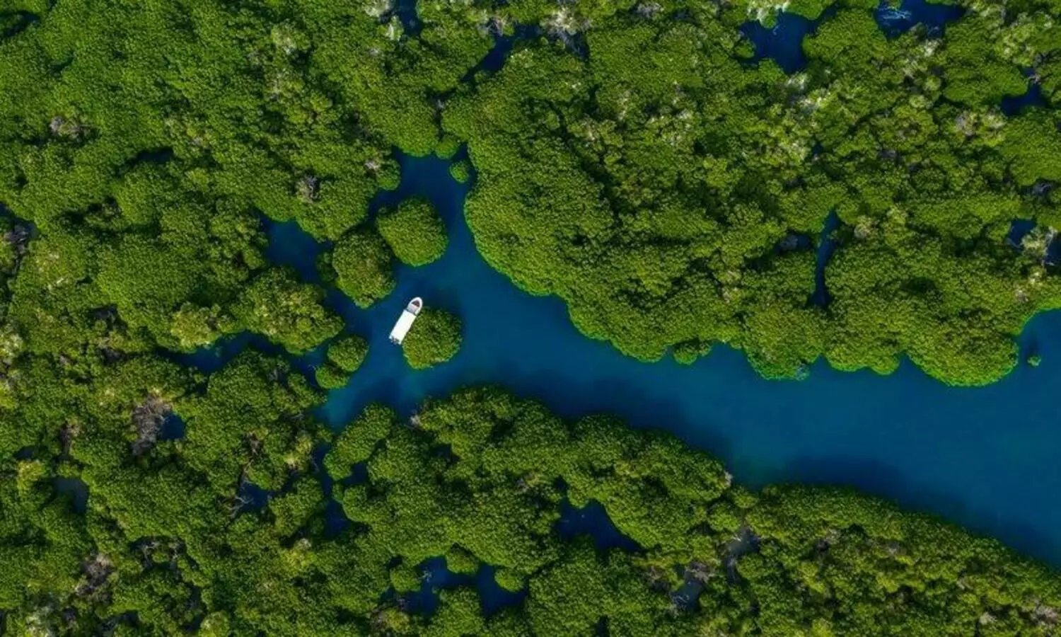 സൗദിയിലെ ഫർസാൻ ദ്വീപുകൾ യുനെസ്​കോ ഭൂപട​ത്തി​േലക്ക്​