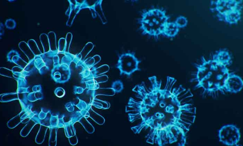 കോ​വി​ഡ്​ മ​ര​ണം 3000 ക​ട​ന്നു