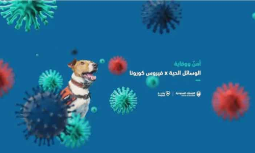 കോ​വി​ഡ് ക​ണ്ടെ​ത്താ​ൻ വി​മാ​ന​ത്താ​വ​ള​ങ്ങ​ളി​ൽ ഇ​നി പൊ​ലീ​സ് നാ​യ്ക്ക​ളും