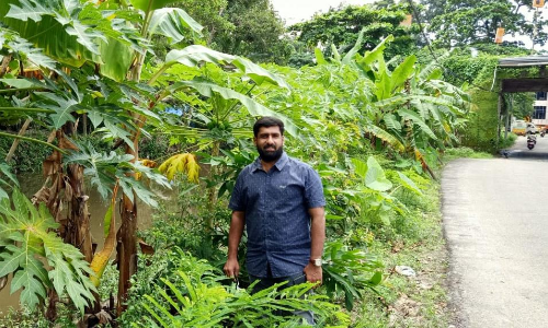 മൂക്കു പൊത്തിയും പ്രാകിപ്പറഞ്ഞും മടുത്തപ്പോൾ ഷുക്കൂർ കൃഷി ചെയ്​തു; വിളഞ്ഞത്​ ആശ്വാസക്കനി