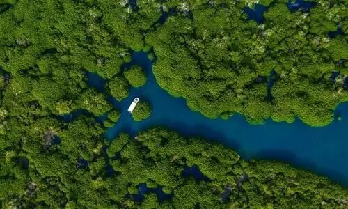 സൗദിയിലെ ഫർസാൻ ദ്വീപുകൾ യുനെസ്​കോ ഭൂപട​ത്തി​േലക്ക്​