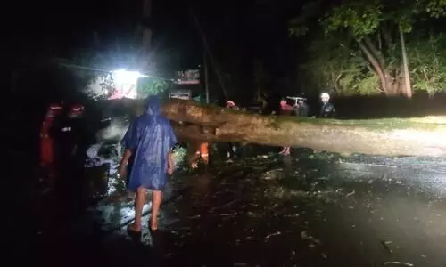 വൈത്തിരിക്ക്​ സമീപം തളിപ്പുഴയിൽ റോഡിന്​ കുറുകെ വീണ മരം നീക്കാനുള്ള ശ്രമം