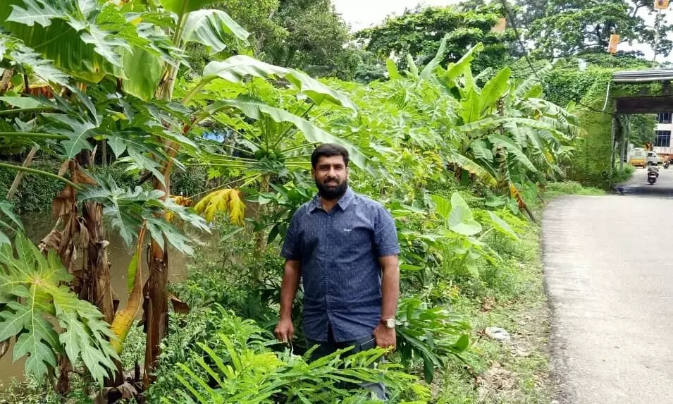 മൂക്കു പൊത്തിയും പ്രാകിപ്പറഞ്ഞും മടുത്തപ്പോൾ ഷുക്കൂർ കൃഷി ചെയ്​തു; വിളഞ്ഞത്​ ആശ്വാസക്കനി