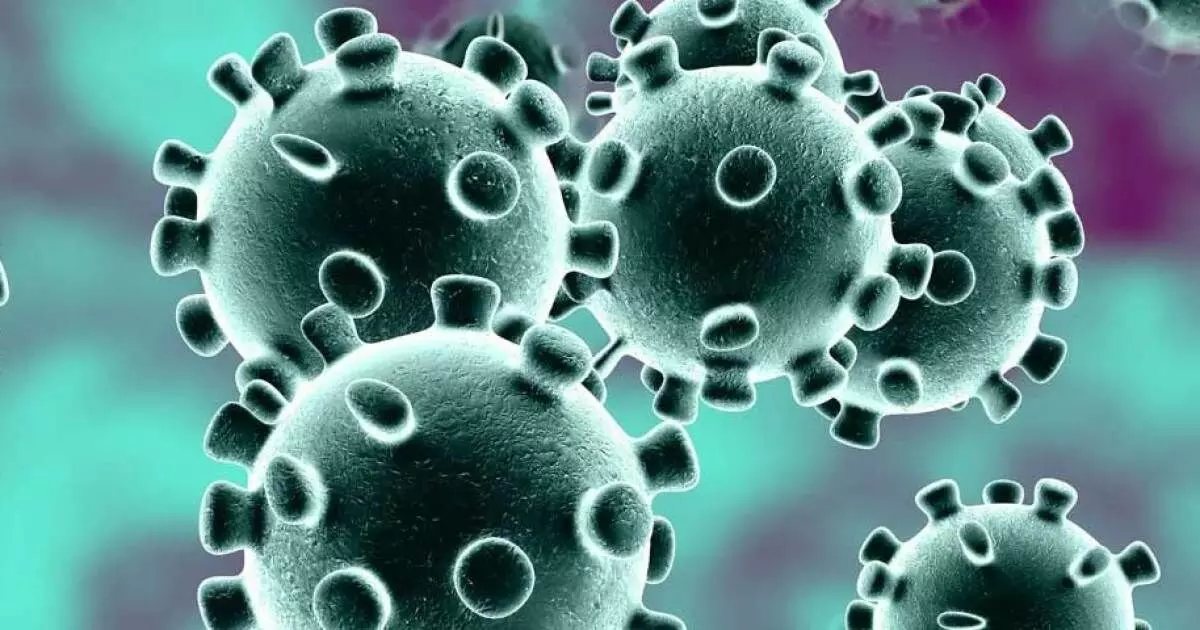 വീണ്ടും കോവിഡ് മരണം, മരിച്ചത് നീലേശ്വരം സ്വദേശി വീണ്ടും കോവിഡ് മരണം, മരിച്ചത് നീലേശ്വരം സ്വദേശി