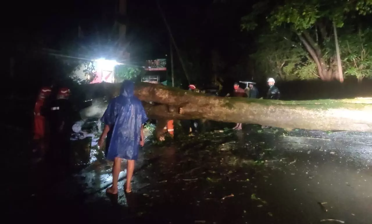 വൈത്തിരിക്ക്​ സമീപം തളിപ്പുഴയിൽ റോഡിന്​ കുറുകെ വീണ മരം നീക്കാനുള്ള ശ്രമം