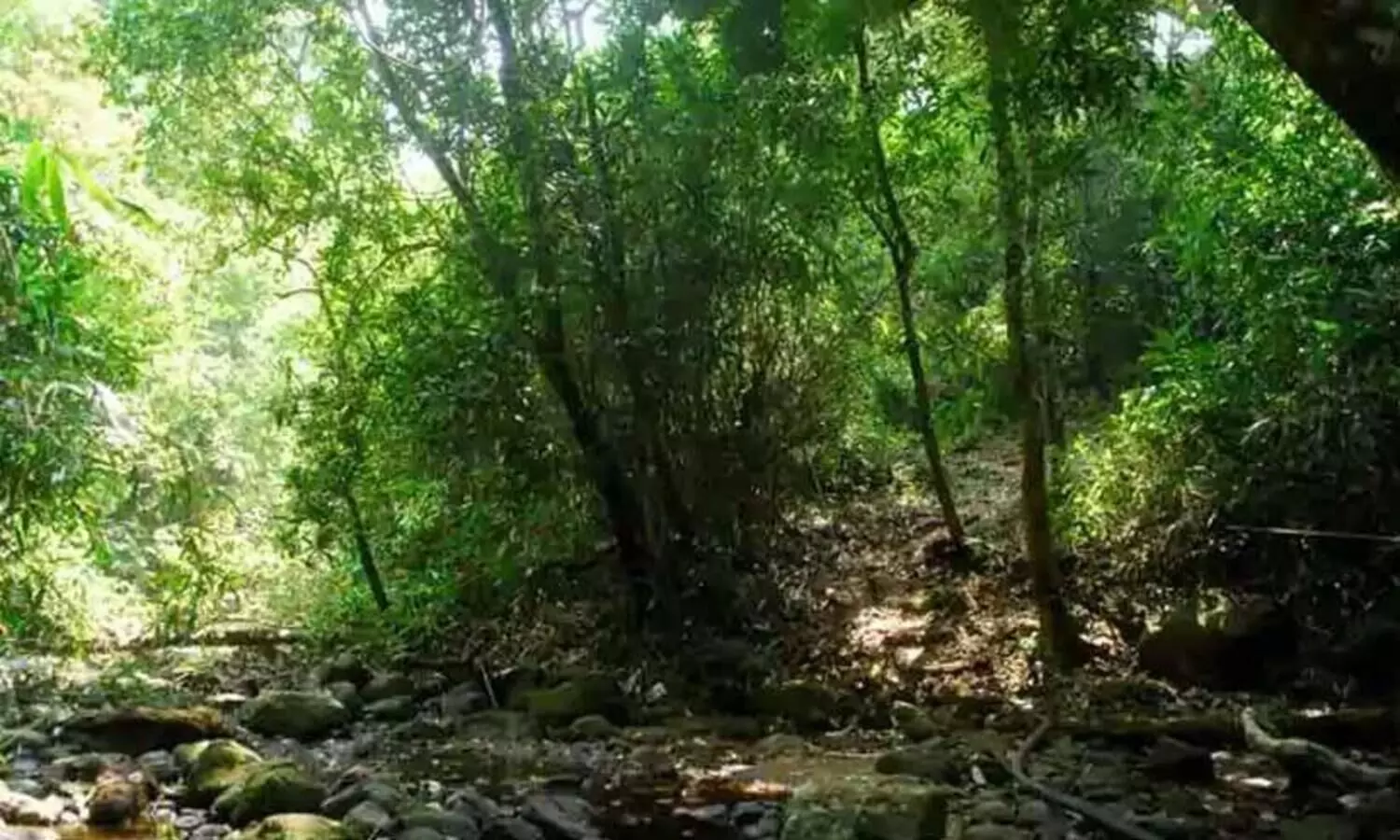 മണ്ണാർമല ചീനിക്കപ്പാറയിലെ ആദിവാസി കുടുംബങ്ങൾ മലയിറങ്ങിയില്ല