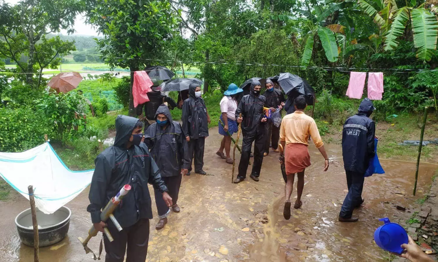 ജനവാസ കേന്ദ്രത്തിൽ നിന്ന്​ തുരത്താൻ ശ്രമിക്കുന്നതിനിടെ വനപാലകരെ കടുവ ആക്രമിച്ചു