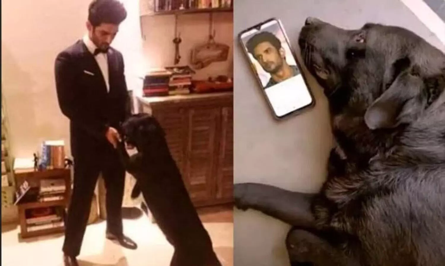 സുശാന്തി​േൻറത്​ കൊലപാതകം, കഴുത്ത്​ ഞെരിച്ചത്​ വളർത്തുനായുടെ ബെൽറ്റുപയോഗിച്ച്; ഞെട്ടിക്കുന്ന വെളിപ്പെടുത്തലുമായി ​സഹായി