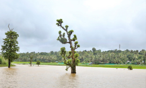 കരകവിഞ്ഞ് പുഴകൾ; താഴ്ന്ന പ്രദേശങ്ങൾ വെള്ളത്തിൽ