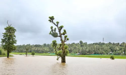 കരകവിഞ്ഞ് പുഴകൾ; താഴ്ന്ന പ്രദേശങ്ങൾ വെള്ളത്തിൽ