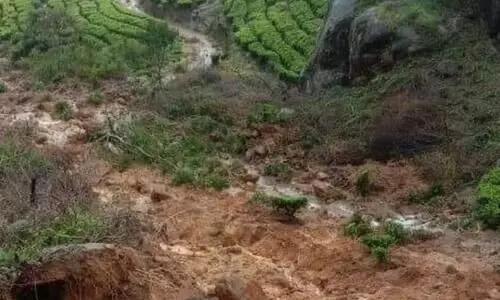 രാജമല ദുരന്തം: മരണസംഖ്യ 16 ആയി; 50 പേരെ കാണാനില്ല