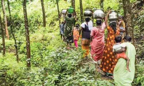 ആതിരമലയിൽ മുപ്പതോളം കുടുംബങ്ങൾ കുടിവെള്ളത്തിനായി താണ്ടുന്നത് കിലോമീറ്ററുകൾ
