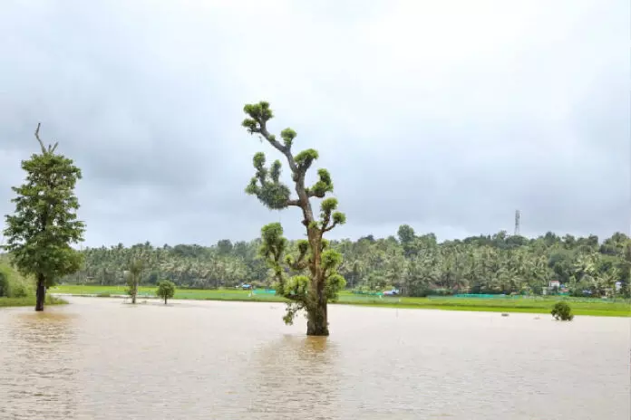 കരകവിഞ്ഞ് പുഴകൾ; താഴ്ന്ന പ്രദേശങ്ങൾ വെള്ളത്തിൽ കരകവിഞ്ഞ് പുഴകൾ; താഴ്ന്ന പ്രദേശങ്ങൾ വെള്ളത്തിൽ