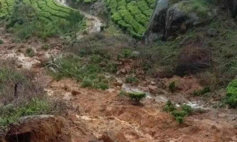 രാജമല ദുരന്തം: മരണസംഖ്യ 16 ആയി; 50 പേരെ കാണാനില്ല