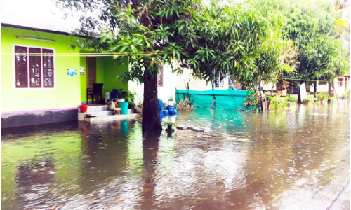 ആലപ്പുഴ-ചങ്ങനാശ്ശേരി റോഡിലും കോളനിയിലെ വീടുകളിലും വെള്ളം കയറിയപ്പോൾ