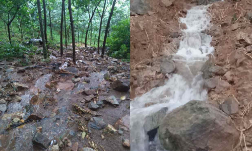 കേളകത്ത്​ ഉരുൾപൊട്ടൽ; കൃഷിനാശം