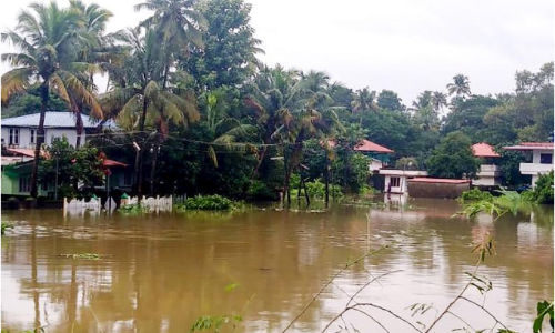മൂവാറ്റുപുഴ കാളച്ചന്തയിൽ വെള്ളം കയറിയനിലയിൽ