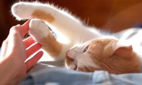 വളർത്താം, വാക്​സിനെടുക്കാം