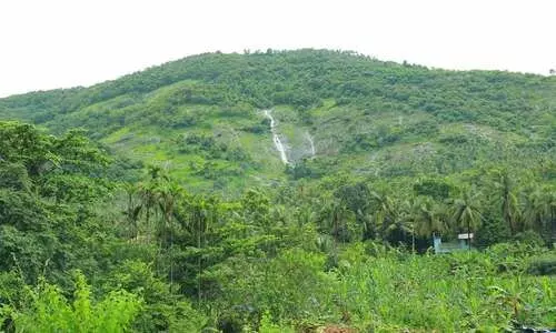 ഉരുൾപൊട്ടൽ ഭീഷണി: കാര്യാവട്ടത്ത്​​ 36 കുടുംബങ്ങൾ താമസം മാറി