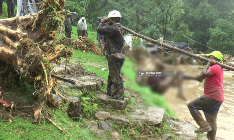ദുരന്ത വെള്ളിയിലെ രാജമലക്കാഴ്ച്ച...