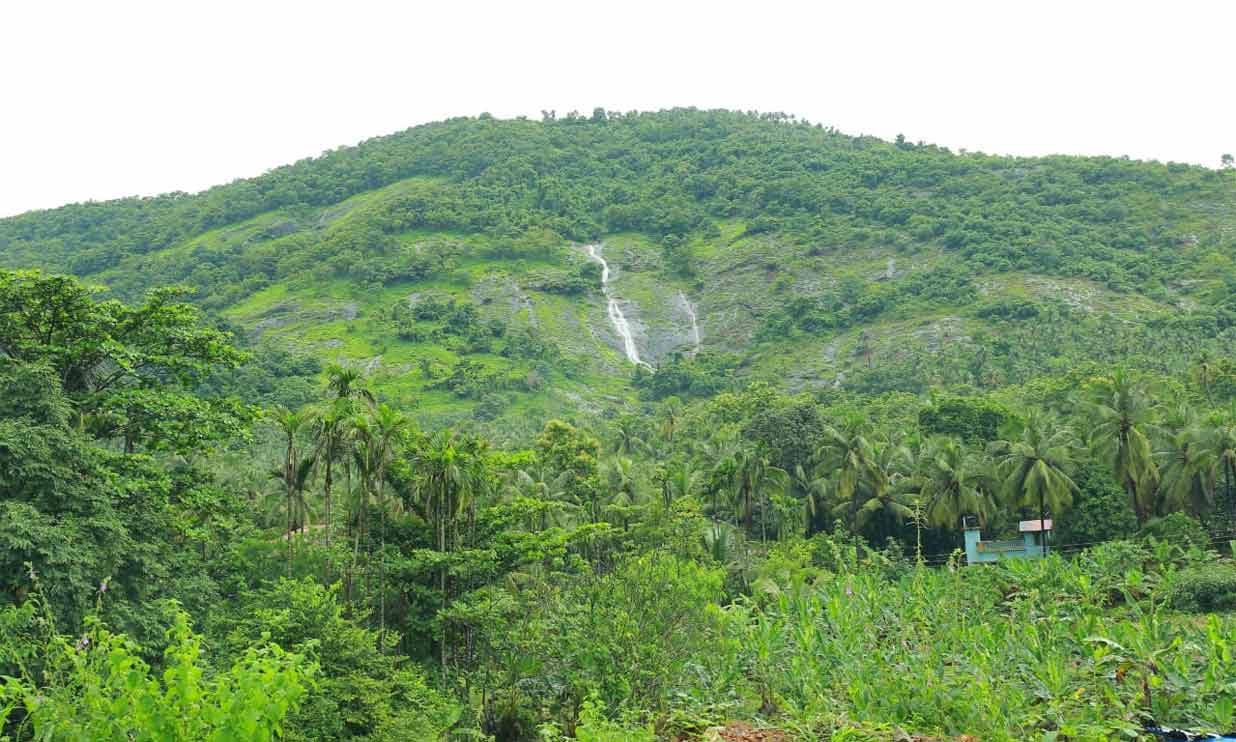 ഉരുൾപൊട്ടൽ ഭീഷണി: കാര്യാവട്ടത്ത്​​ 36 കുടുംബങ്ങൾ താമസം മാറി