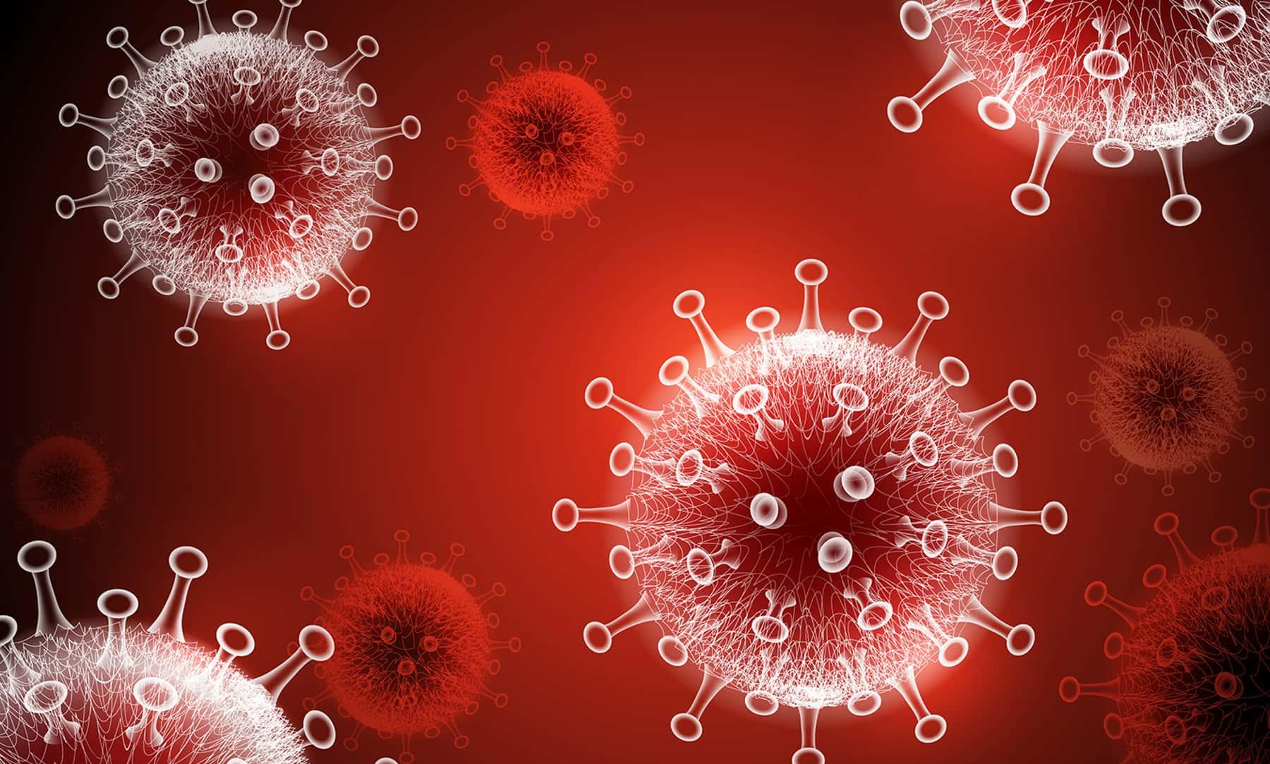 വയനാട്ടില്‍ 10 പേര്‍ക്ക് കൂടി കോവിഡ്; എട്ടു പേര്‍ക്ക് സമ്പര്‍ക്കത്തിലൂടെ