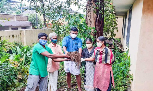 വെള്ള​െപ്പാക്കത്തിനിടെ ഒരു ചേനക്കാര്യം