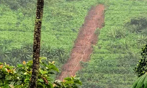 പാറത്തോട് മേഖലയില്‍ ഉരുള്‍പൊട്ടൽ; വ്യാപക കൃഷിനാശം