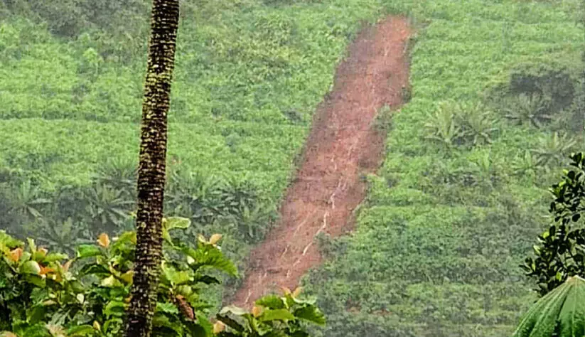 പാറത്തോട് മേഖലയില് ഉരുള്പൊട്ടൽ; വ്യാപക കൃഷിനാശം പാറത്തോട് മേഖലയില് ഉരുള്പൊട്ടൽ; വ്യാപക കൃഷിനാശം