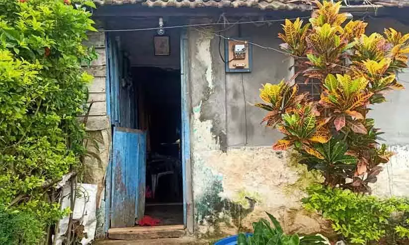 ഉയരം കൂടുന്തോറും രുചി കൂടുന്നത് ഇതാ, ഈ ലയങ്ങളിൽ മരിച്ച് ജീവിക്കുന്നവരിലൂടെയാണ് ഉയരം കൂടുന്തോറും രുചി കൂടുന്നത് ഇതാ, ഈ ലയങ്ങളിൽ മരിച്ച് ജീവിക്കുന്നവരിലൂടെയാണ്