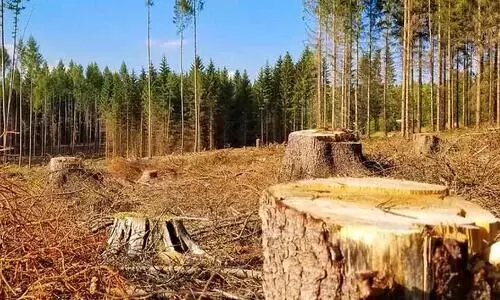 ഇ.ഐ.എ: പരിസ്ഥിതി സുസ്ഥിരതയുടെ ശവപ്പെട്ടിയിലെ അവസാനത്തെ ആണി