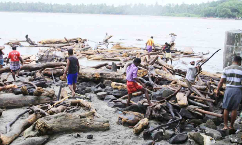 മരത്തടികൾ