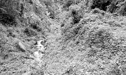 ഉരുൾപൊട്ടൽ നടന്ന സ്ഥലം ഇപ്പോൾ