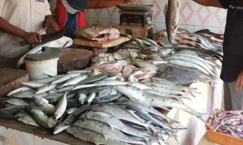 അന്തർസംസ്ഥാന മീൻ പിടിത്തക്കാർ ബേപ്പൂരിൽ: നാട്ടുകാർ ആശങ്കയിൽ