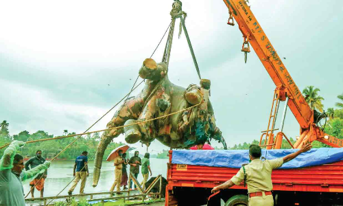 കോട്ടപ്പുറം പുഴയിൽ കാട്ടാനയുടെ ജഡം