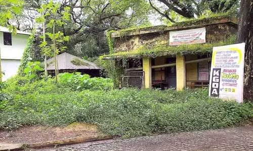 കച്ചേരി വളപ്പി​െൻറ പിൻവശം കാടുകയറി; വെള്ളക്കെട്ടും