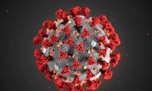 കോവിഡ്: ഒമാനിൽ എട്ട് പേർ കൂടി മരിച്ചു കോവിഡ്: ഒമാനിൽ എട്ട് പേർ കൂടി മരിച്ചു