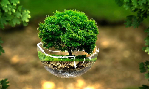 ഇ.ഐ.എ: പിന്മാറാതെ കേ​ന്ദ്രം; രാ​ഹു​ലും ജ​യ​റാം ര​മേ​ശും കേ​ന്ദ്ര​വു​മാ​യി പോ​രി​ൽ