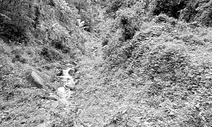 ഉരുൾപൊട്ടൽ നടന്ന സ്ഥലം ഇപ്പോൾ