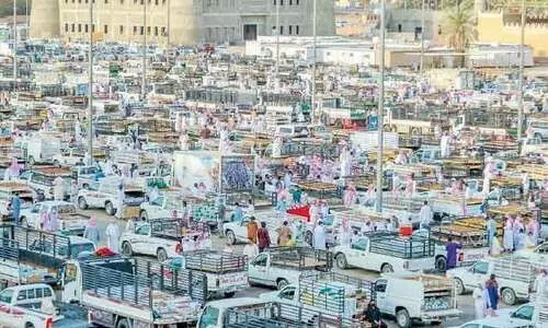 മേ​ള​യി​ലെ​ത്തി​യ ഇൗ​ത്ത​പ്പ​ഴ​ത്തി​ൽ വ​ൻ വ​ർ​ധ​ന​